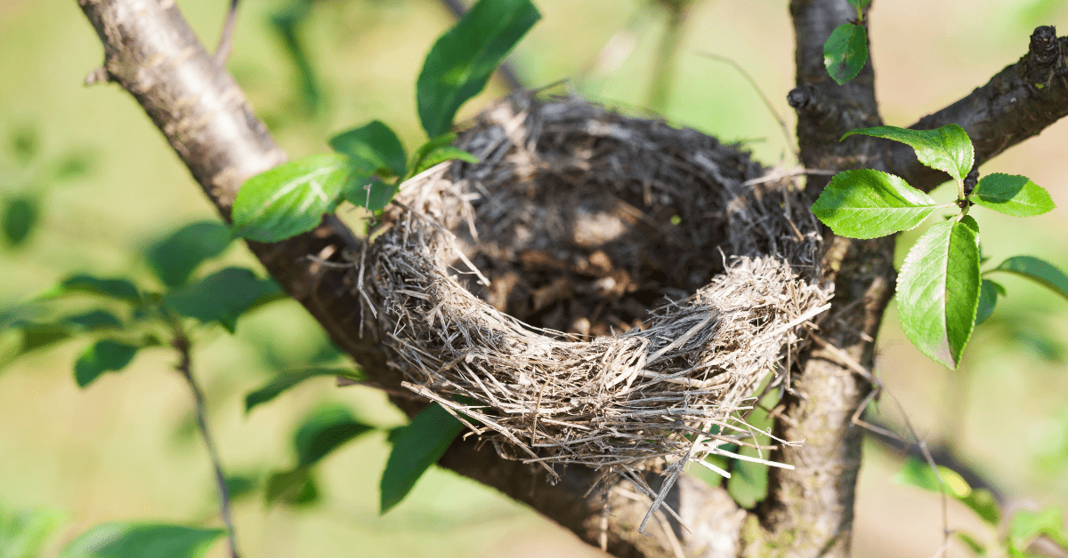Empty Nesters Season: Kids Graduating & Summer Break Flight