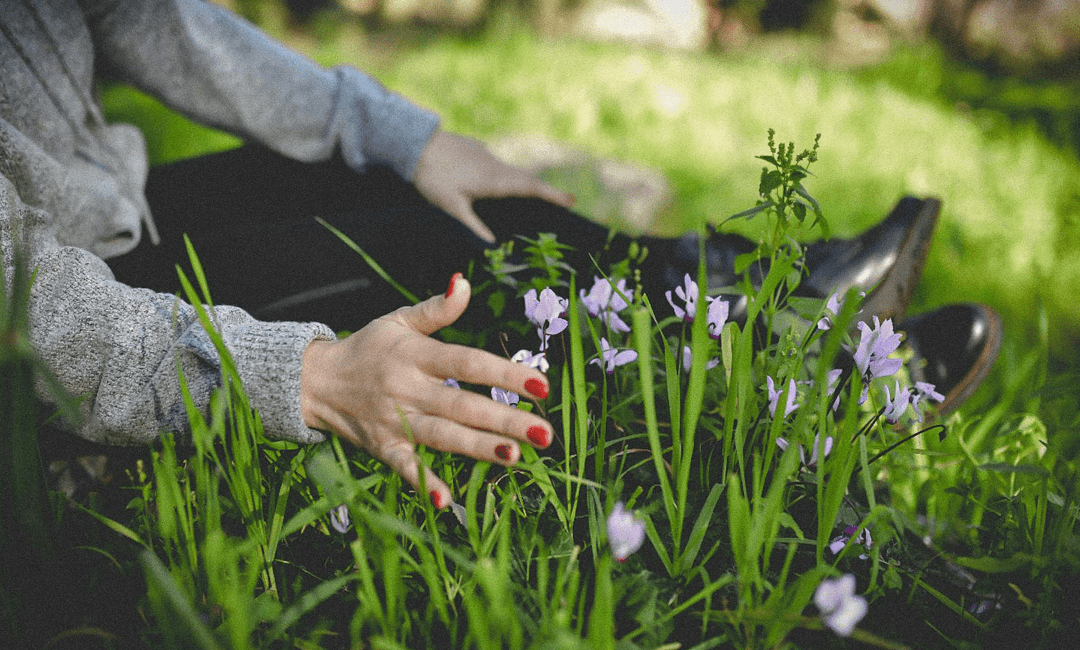 spring mental health
