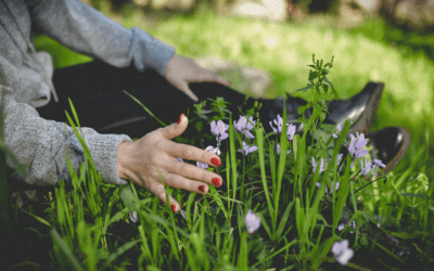 Spring and Mental Health: Why This Season Can Feel Surprisingly Overwhelming